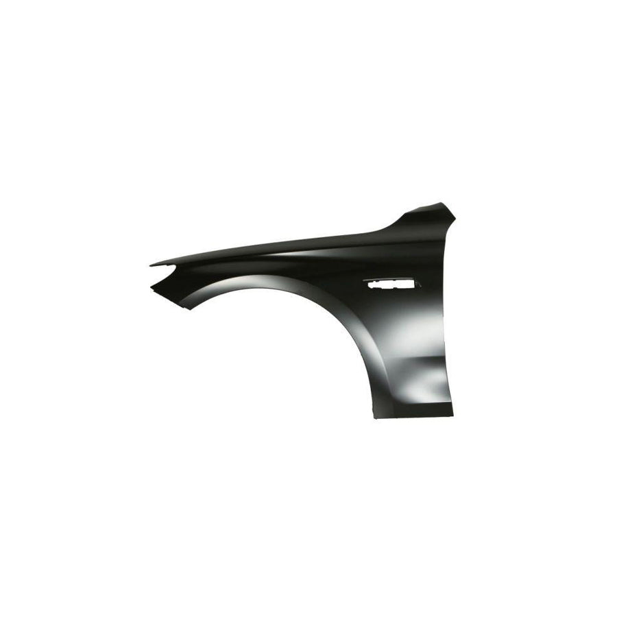 Blic 6504-04-0067313P Wing Fender For BMW 5 Series