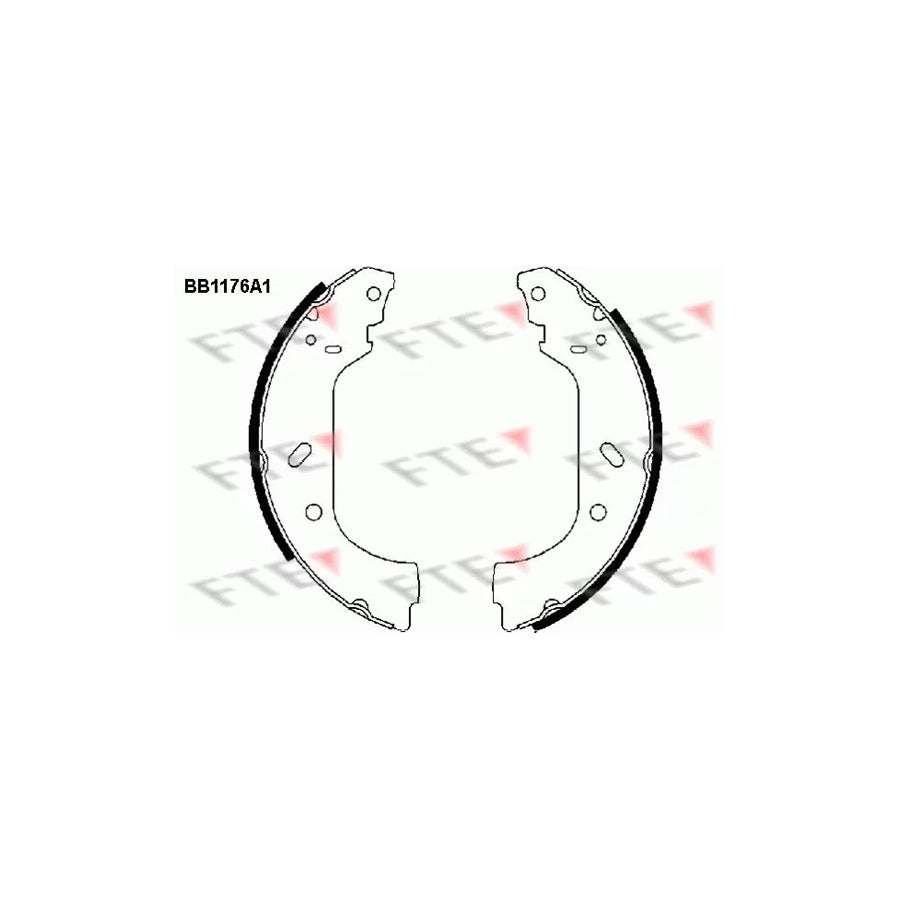 Fte 9100039 Brake Shoe Set | ML Performance UK Car Parts