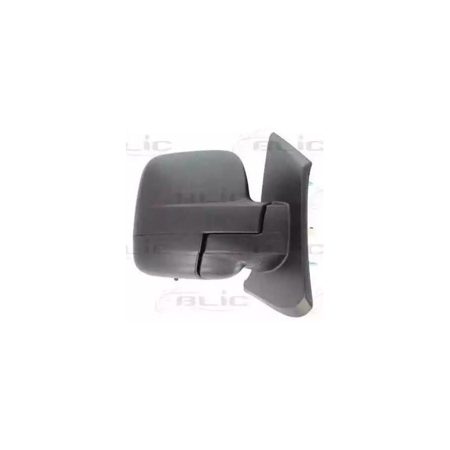 Blic 5402-04-2002028P Wing Mirror