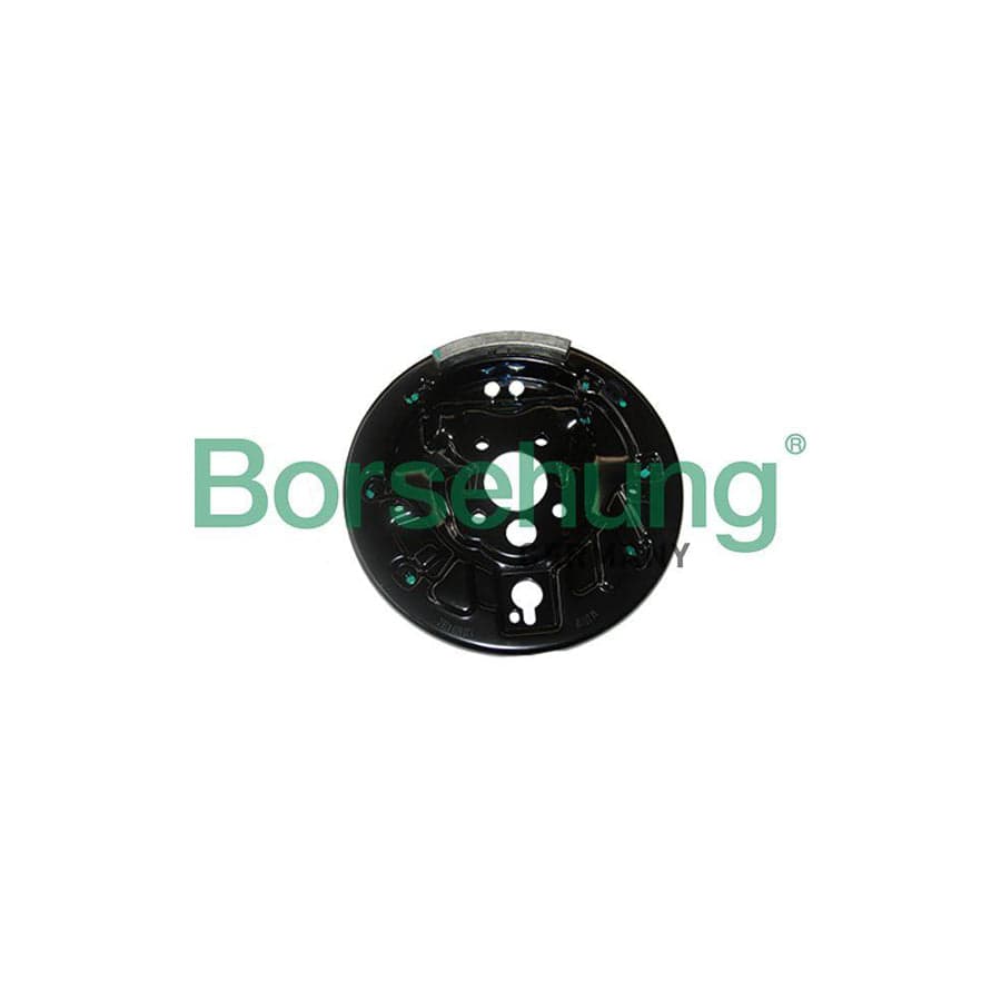 Borsehung B18221 Splash Panel, Brake Disc