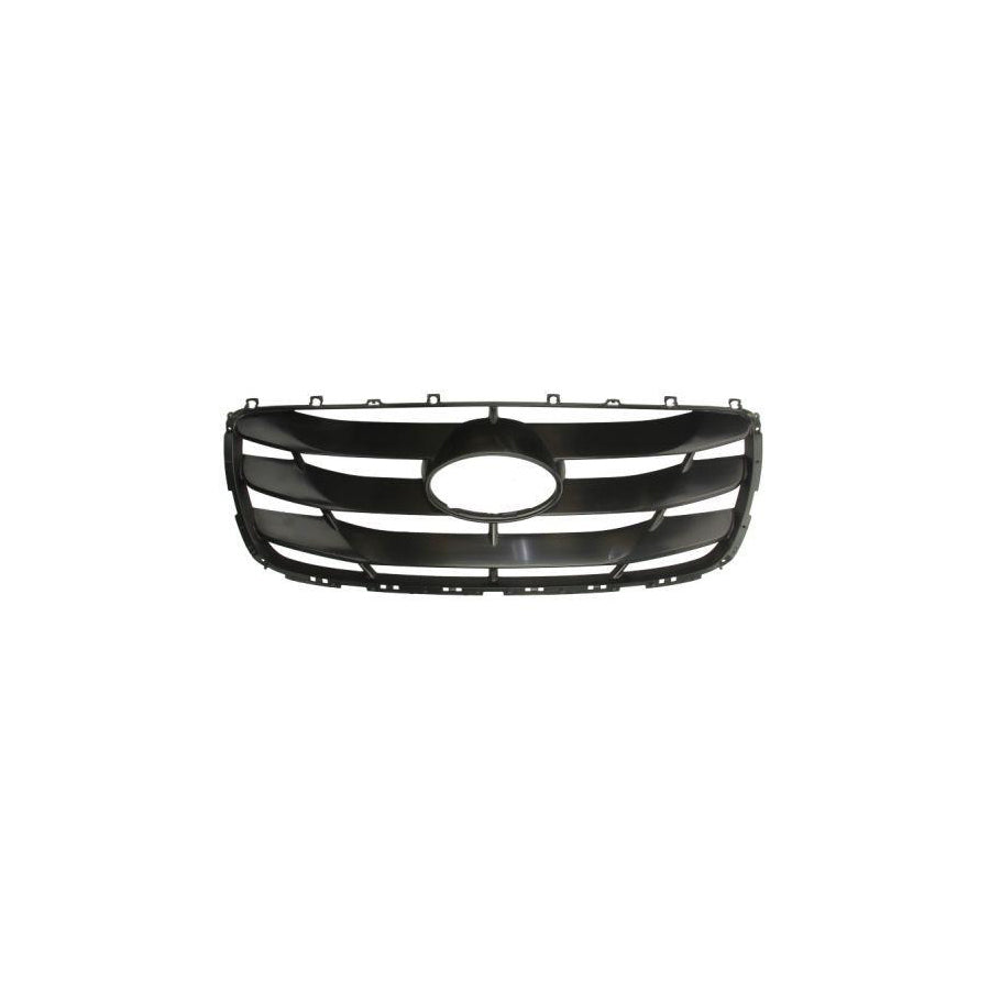 Blic 6502-07-3181991P Radiator Grille For Hyundai Santa Fe II (Cm)