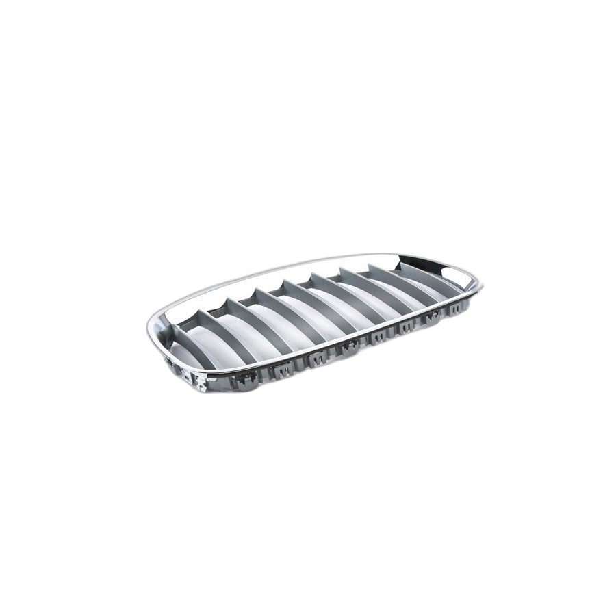 Genuine BMW 51137181548 E89 Grille Right ALU MATT (Inc. Z4) | ML Performance UK Car Parts