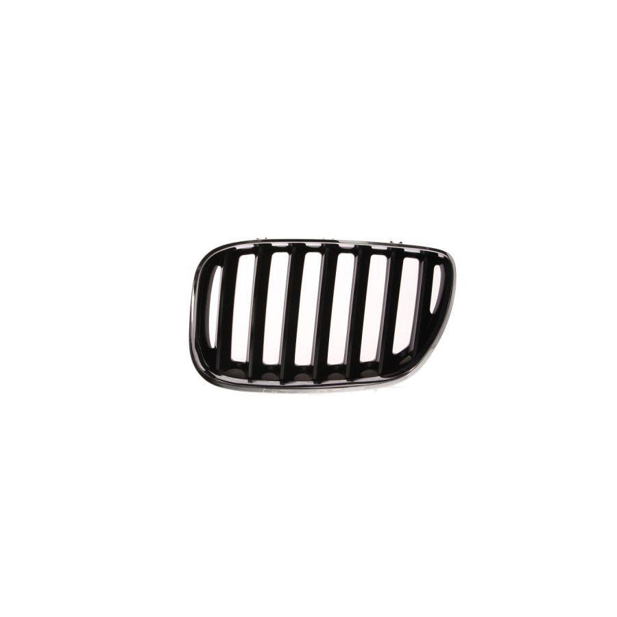 Blic 6502-07-0095995P Radiator Grille For BMW X5 (E53)