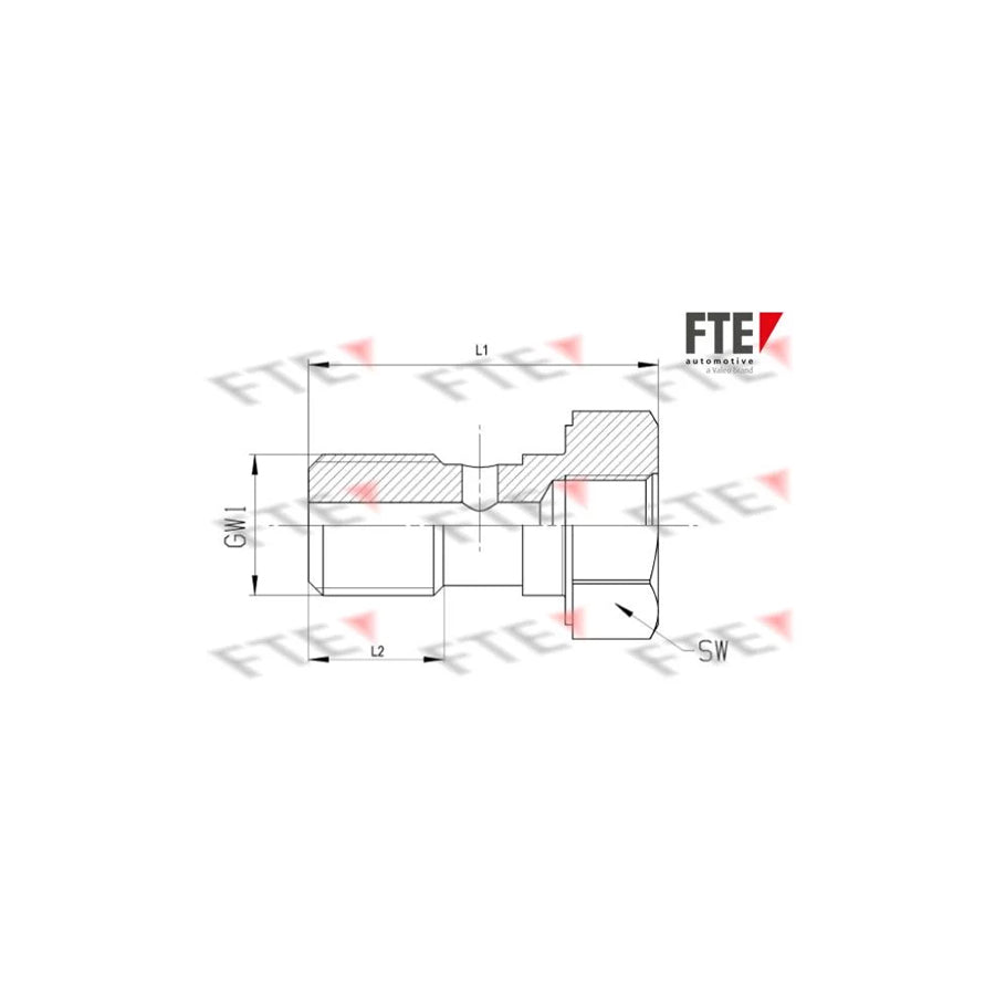 Fte A0076 Hollow Screw | ML Performance UK Car Parts