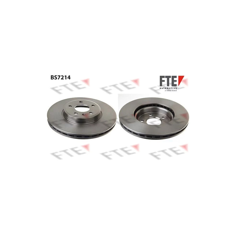 Fte 9071011 Brake Disc | ML Performance UK Car Parts