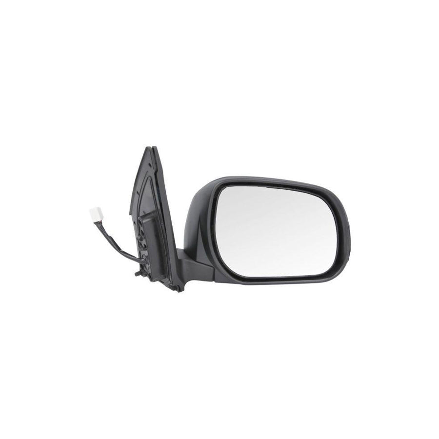 Blic 5402-19-2002528P Wing Mirror For Toyota Rav4 III Off-Road (Xa30)