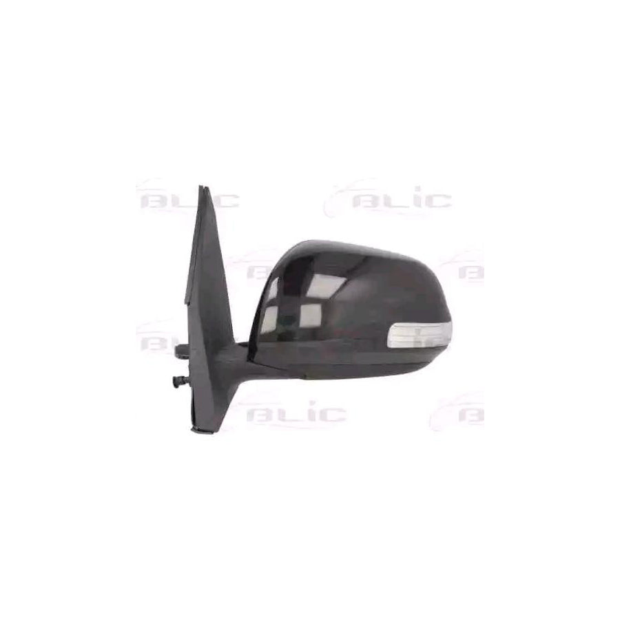 Blic 5402-19-2002527P Wing Mirror For Toyota Rav4 III Off-Road (Xa30)