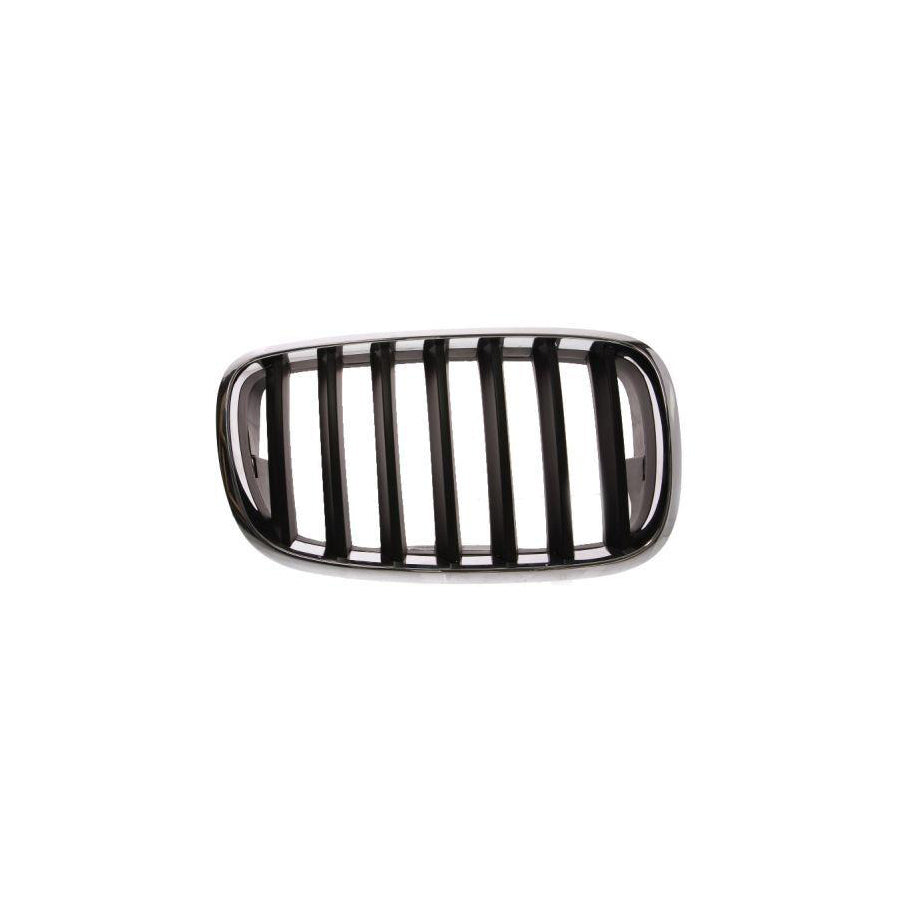 Blic 6502-07-0096992P Radiator Grille