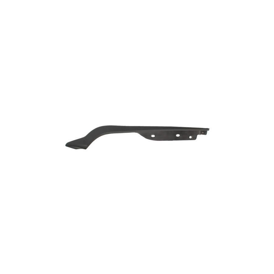 Blic 6502-07-3181972P Bumper Moulding For Hyundai Santa Fe II (Cm)