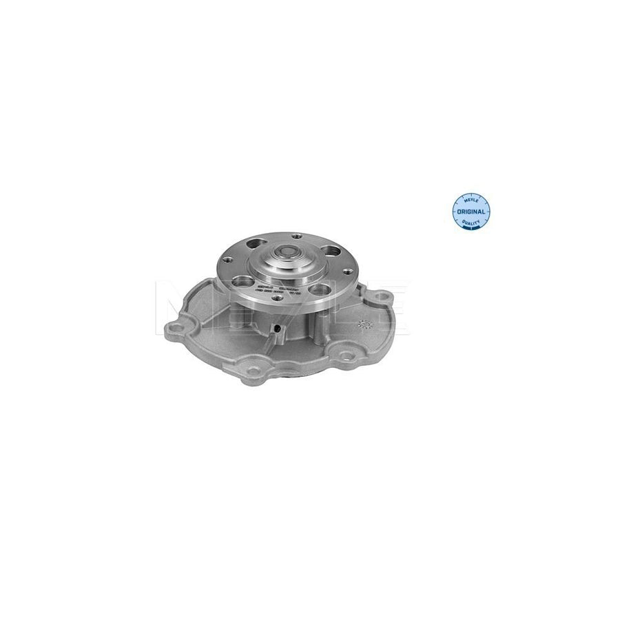 Meyle 613 220 0010 Water Pump