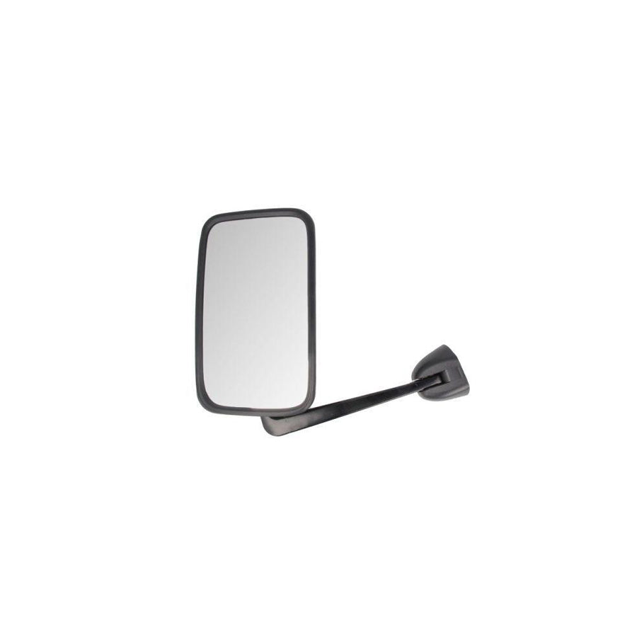 Blic 5402-19-2002523P Wing Mirror For Toyota Rav4 II Off-Road (Xa20)