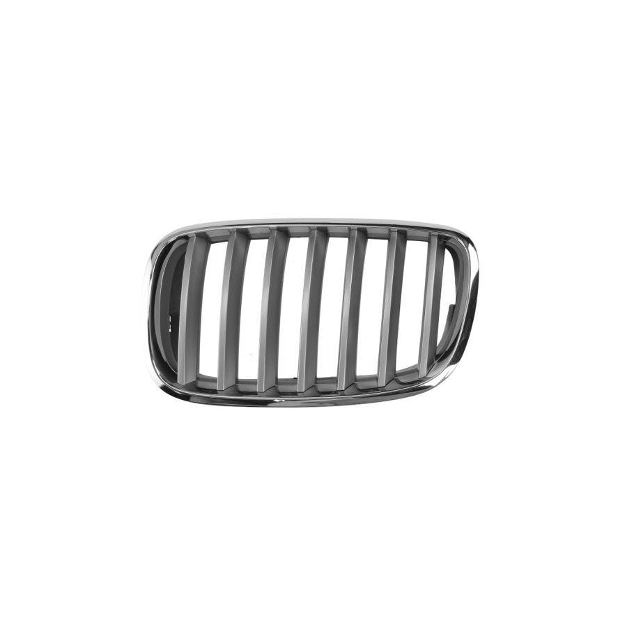 Blic 6502-07-0096991Pp Radiator Grille