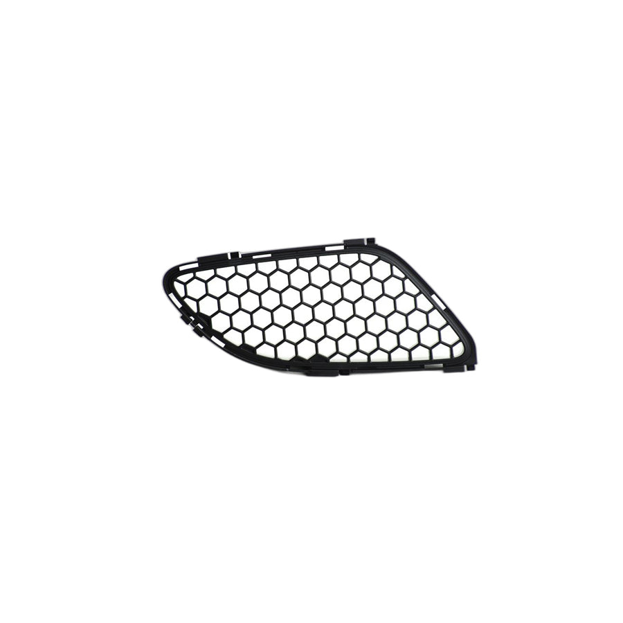 Genuine BMW 51768041985 E93 E90 Trim Grill For Front Flap, Left (Inc. M3)