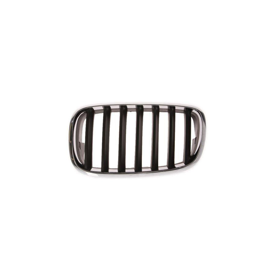 Blic 6502-07-0096991P Radiator Grille