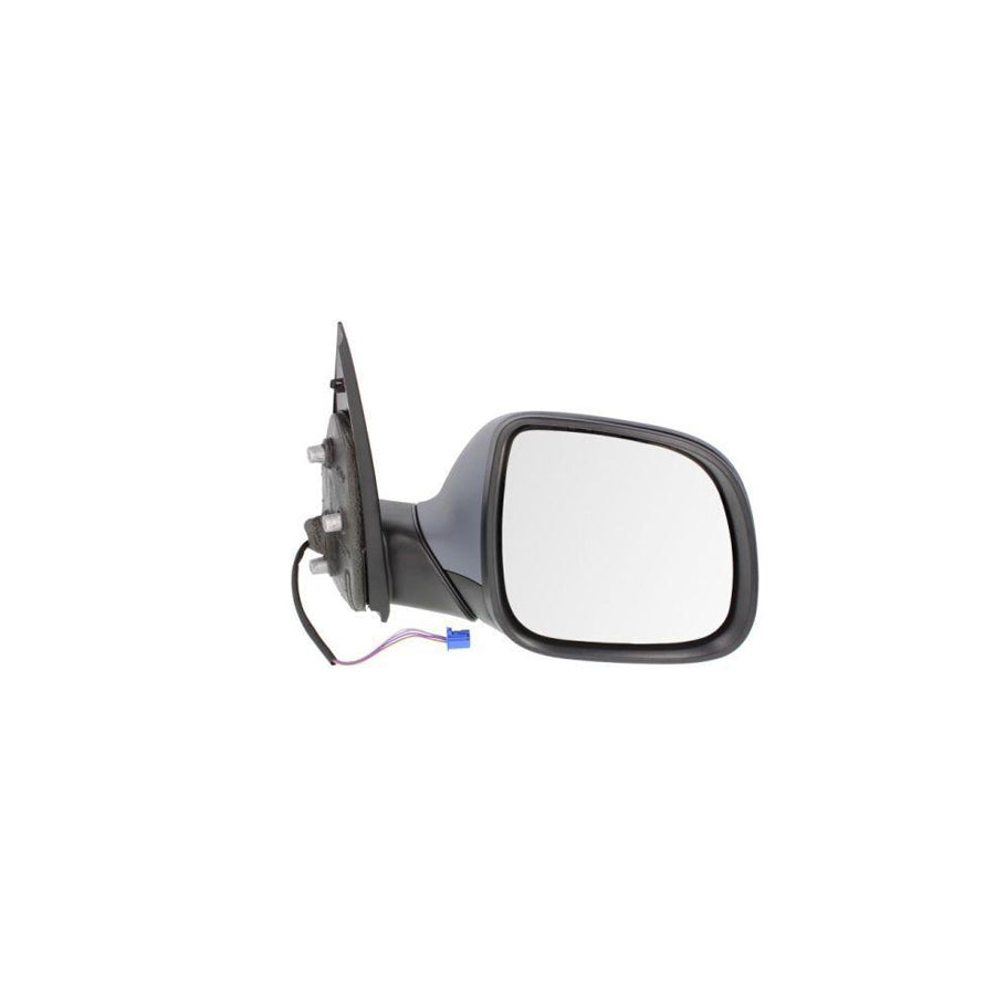 Blic 5402-01-2002570P Wing Mirror