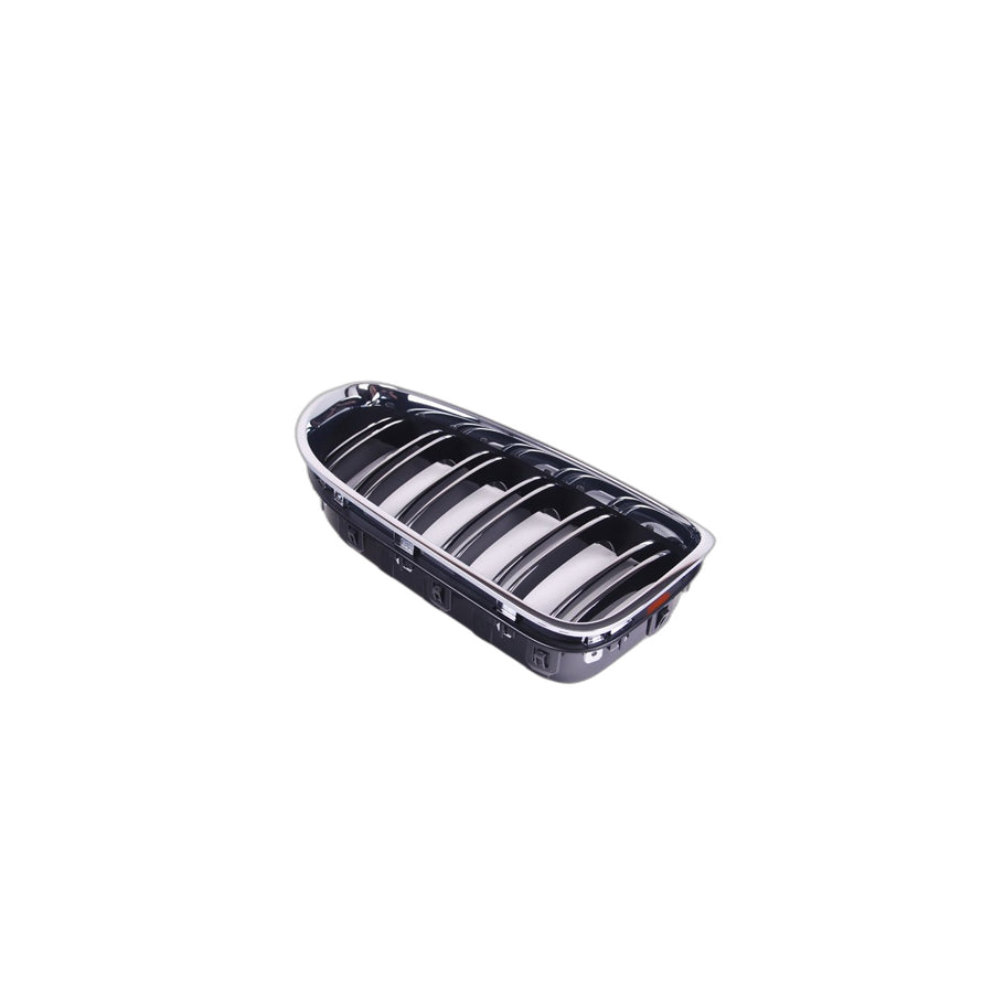 Genuine BMW 51138057214 Grille, Front, Right M (Inc. M6) | ML Performance UK Car Parts