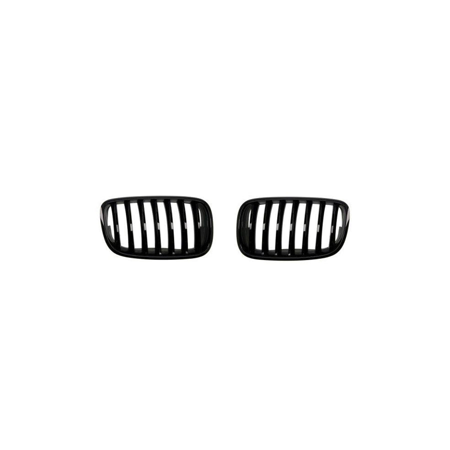 Blic 6502-07-0096990P Radiator Grille For BMW X5 (E70)