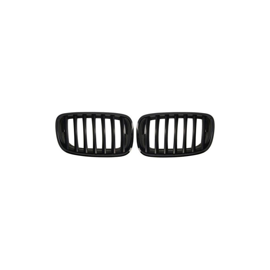 Blic 6502-07-0096990Kp Radiator Grille For BMW X5 (E70)