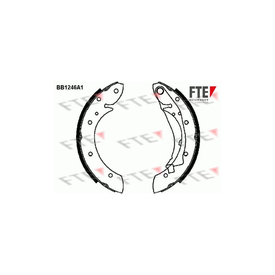 Fte 9100050 Brake Shoe Set | ML Performance UK Car Parts