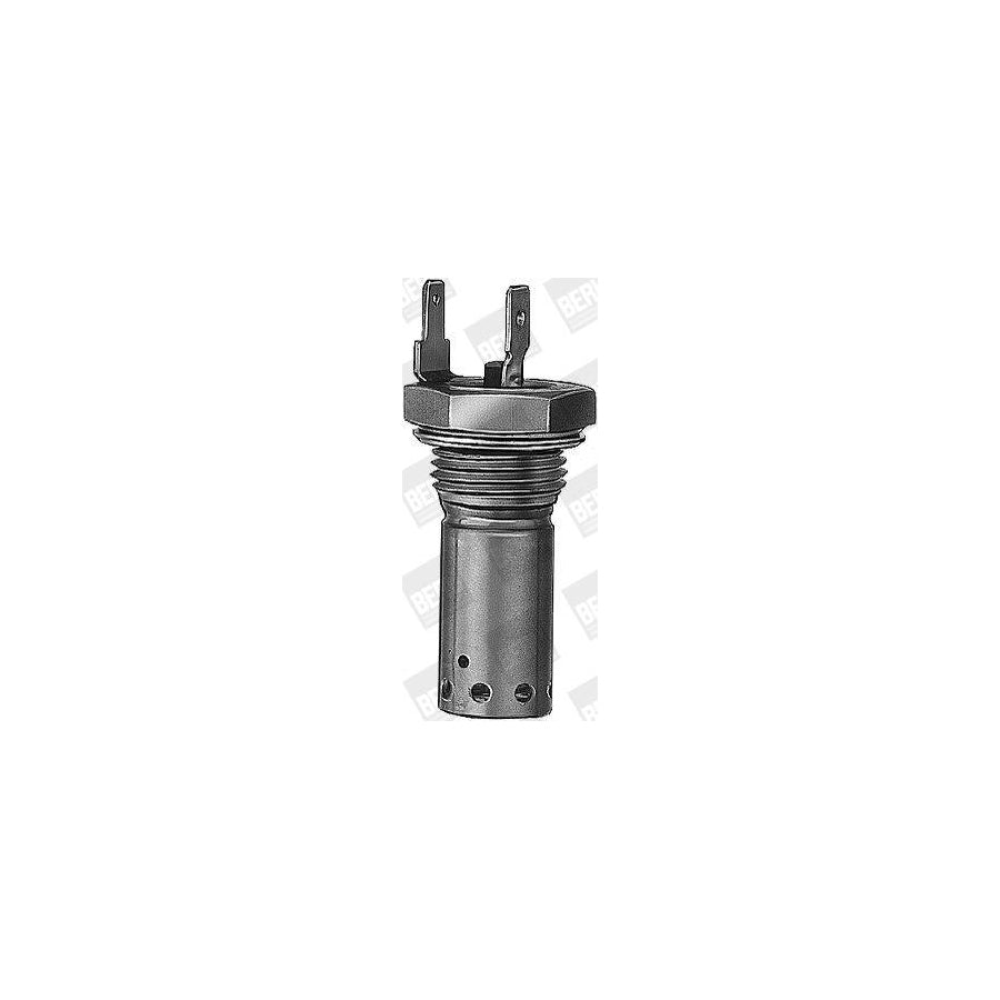 Beru GH117 Glow Plug, Parking Heater