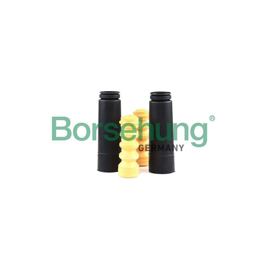 Borsehung B10020 Dust Cover Kit, Shock Absorber