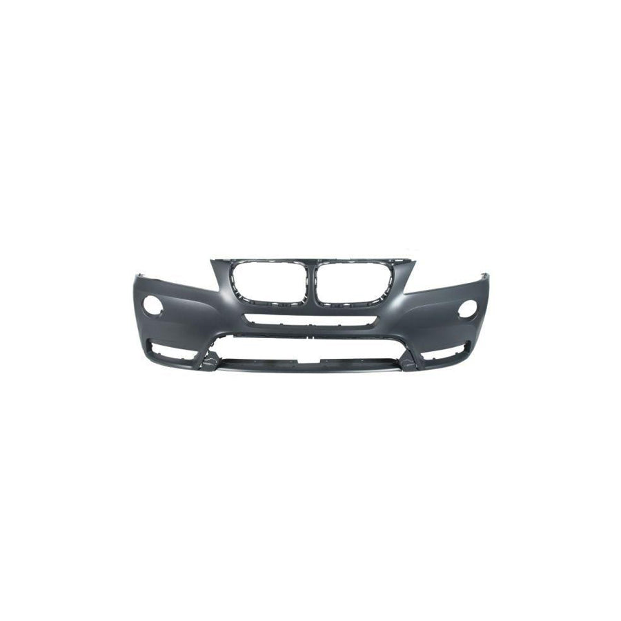 Blic 5703-04-6032577P Door Molding For Renault Clio