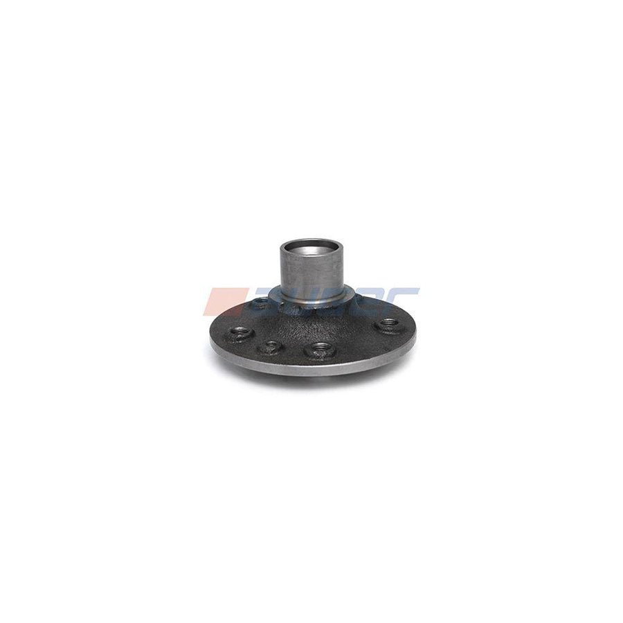 Auger 84231 Wheel Hub