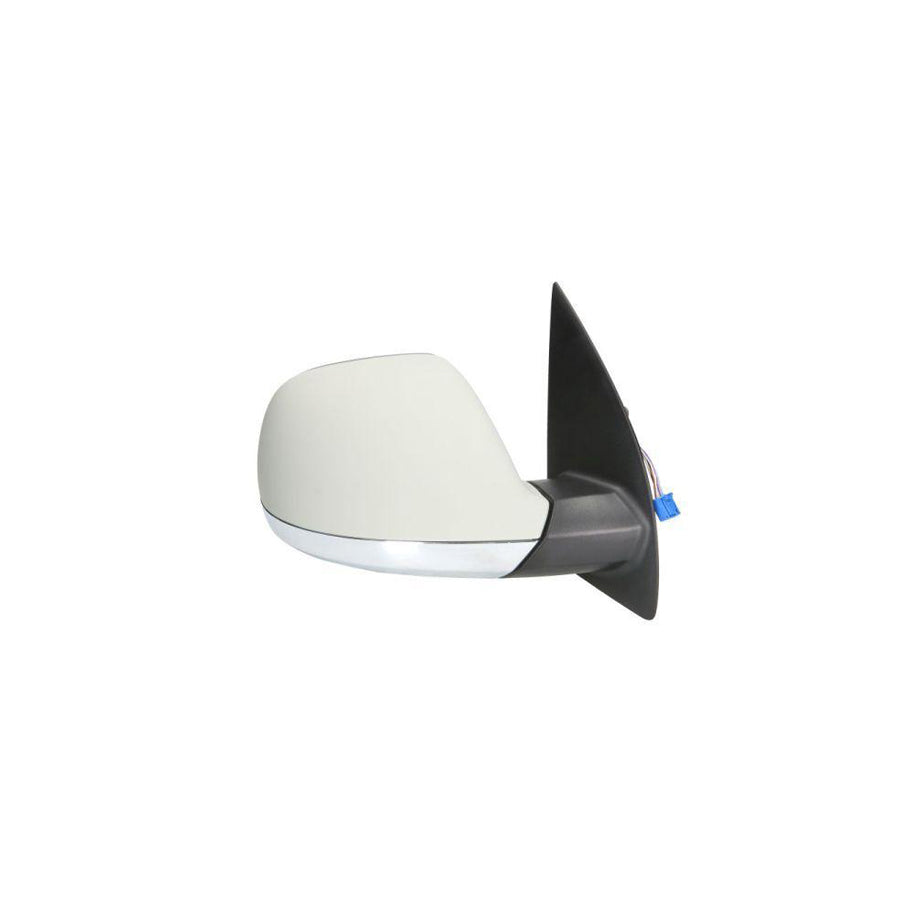 Blic 5402-01-2002568P Wing Mirror