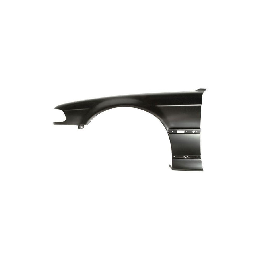 Blic 6504-04-0075313P Wing Fender For BMW 7 (E38)