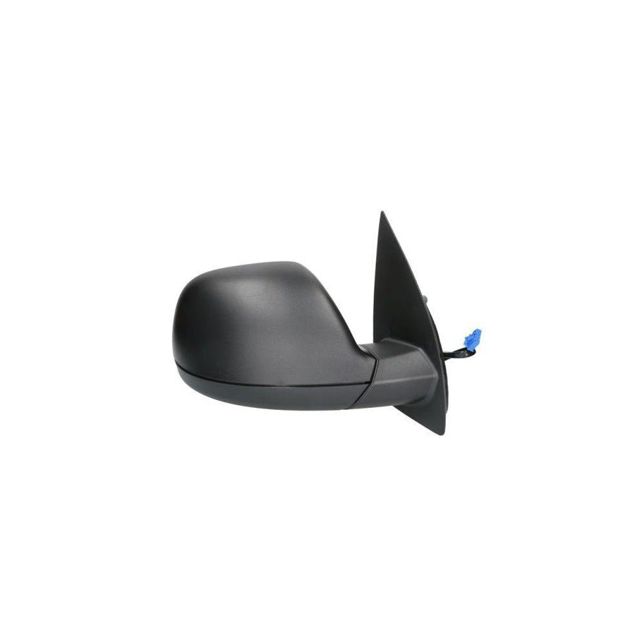 Blic 5402-01-2002566P Wing Mirror