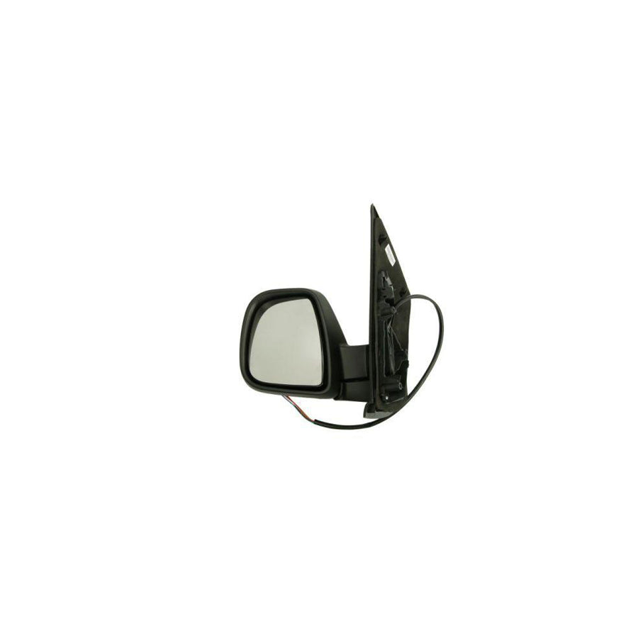 Blic 5402-04-2103395P Wing Mirror