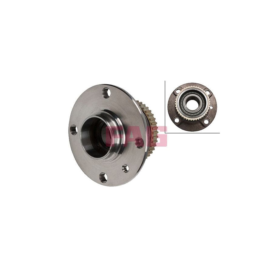 FAG 713 6604 10 Wheel Bearing Kit