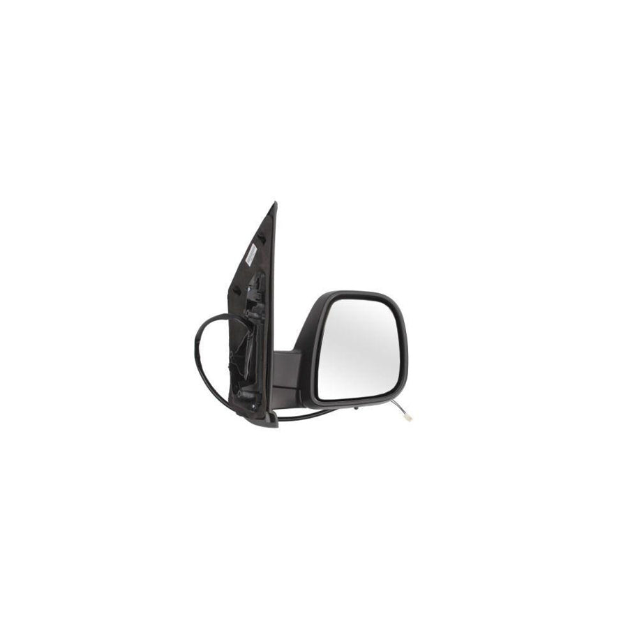 Blic 5402-04-2103394P Wing Mirror