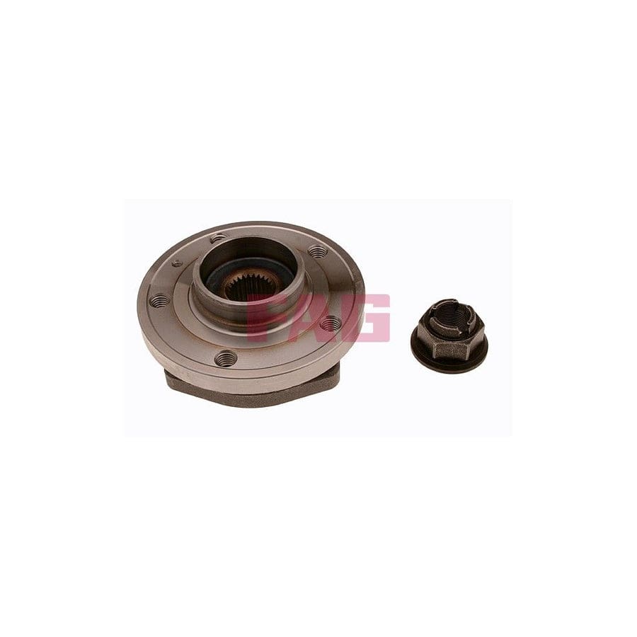 FAG 713 6603 70 Wheel Bearing Kit