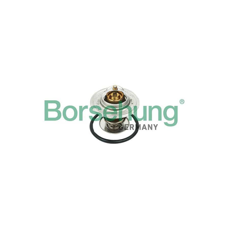 Borsehung B18268 Engine Thermostat