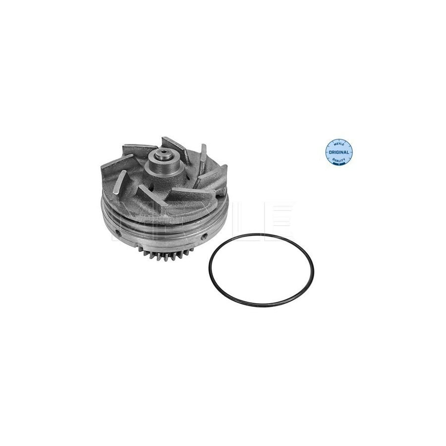 Meyle 16-33 220 0002 Water Pump