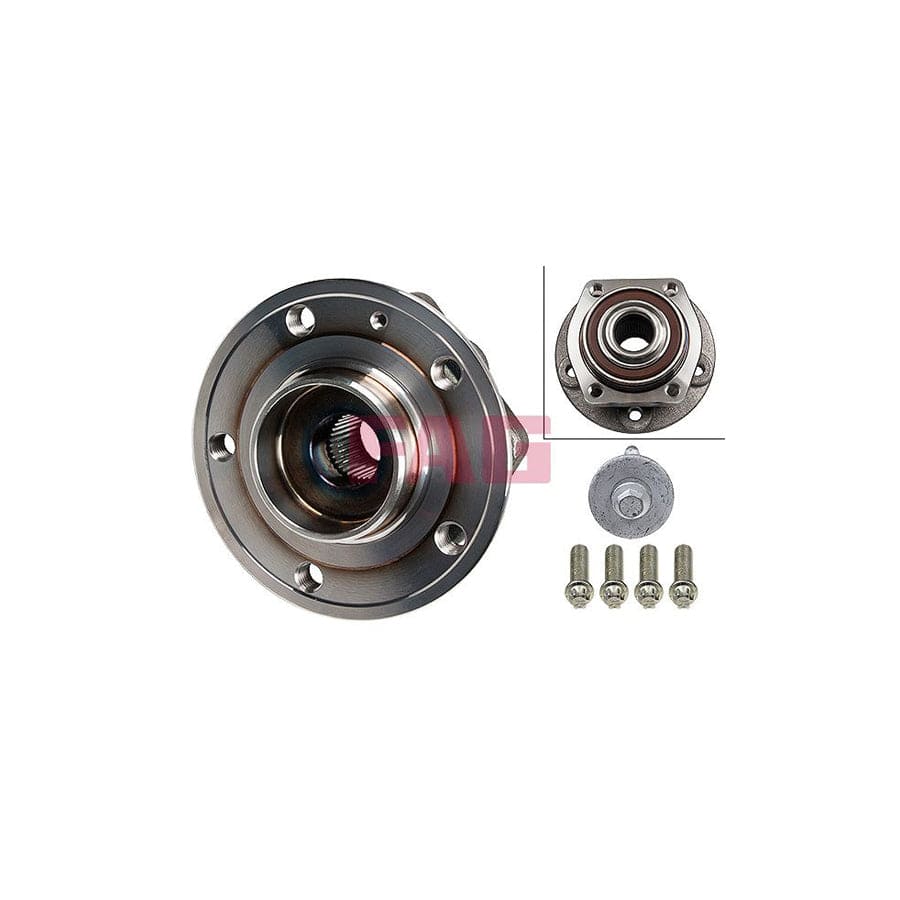 FAG 713 6603 10 Wheel Bearing Kit