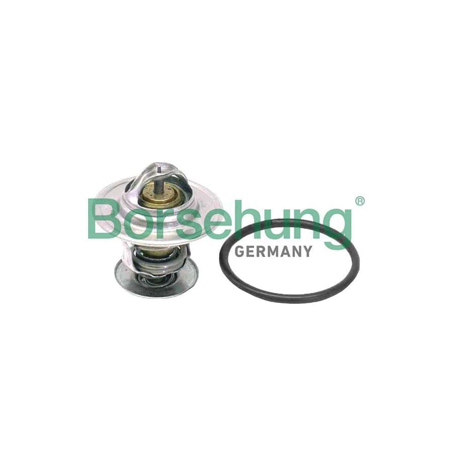 Borsehung B18262 Engine Thermostat