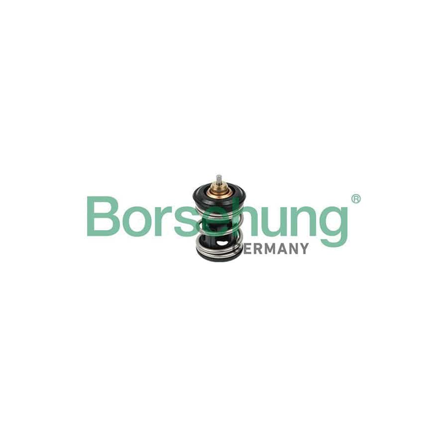 Borsehung B18261 Engine Thermostat