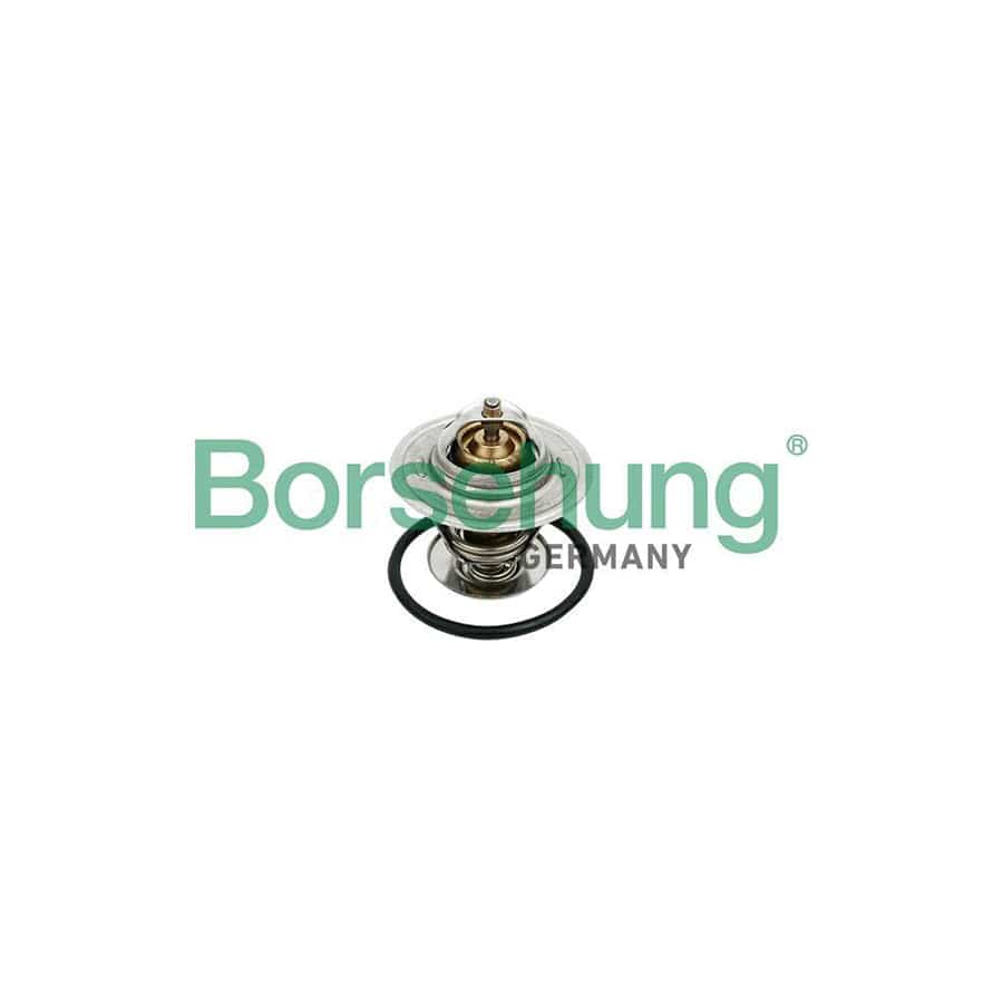 Borsehung B18259 Engine Thermostat