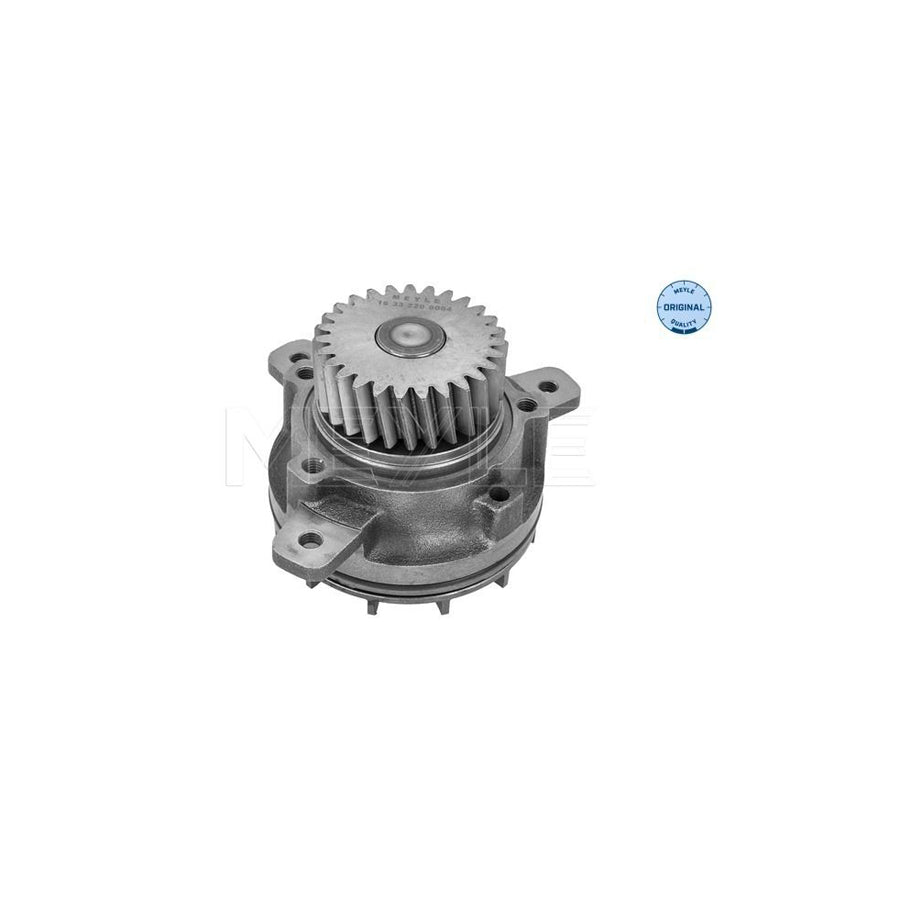 Meyle 16-33 220 0004 Water Pump