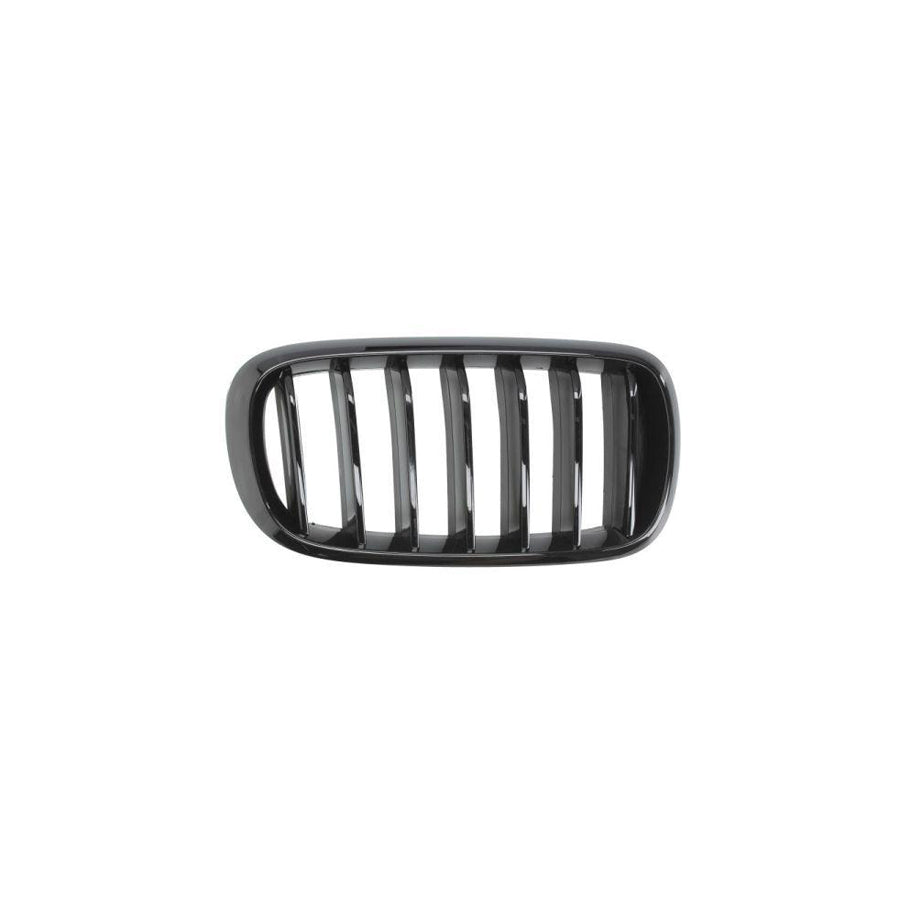 Blic 6502-07-00969988P Radiator Grille