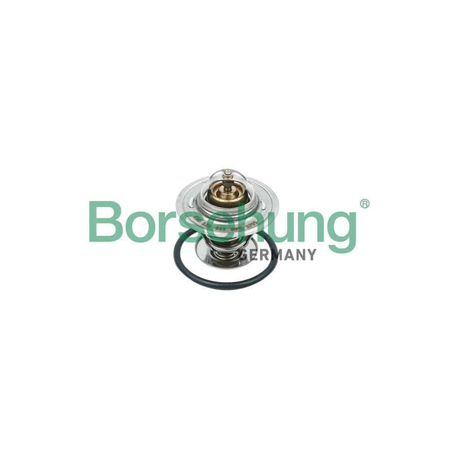 Borsehung B18234 Engine Thermostat