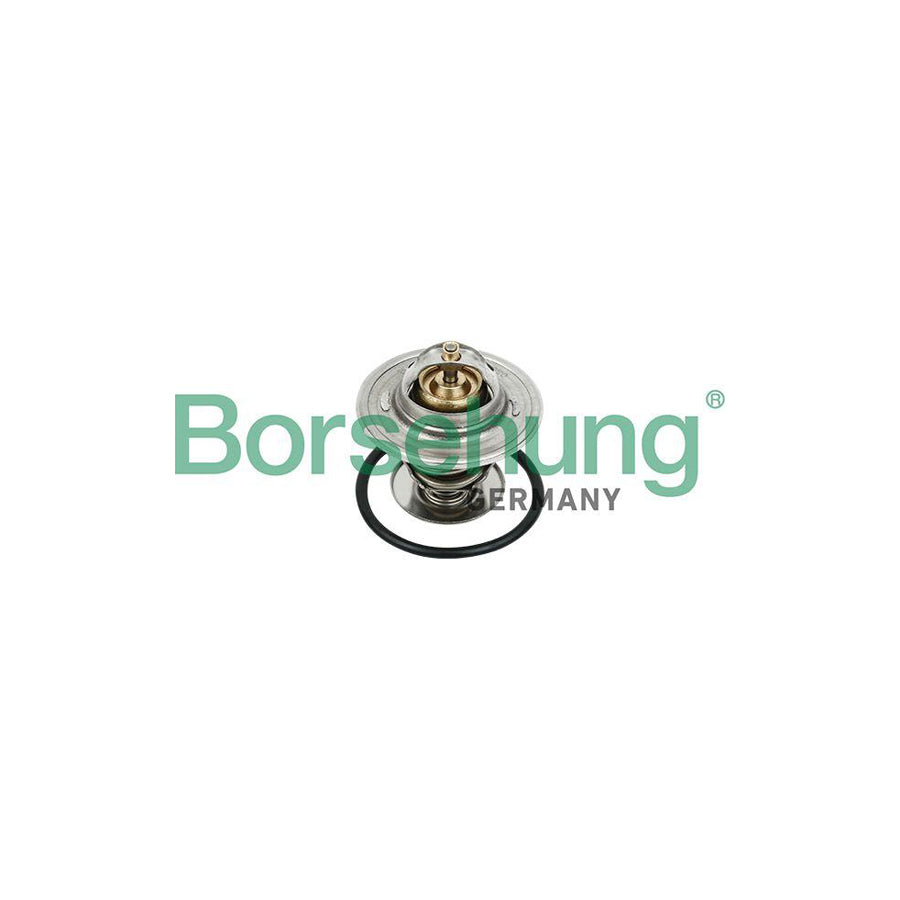 Borsehung B18231 Engine Thermostat