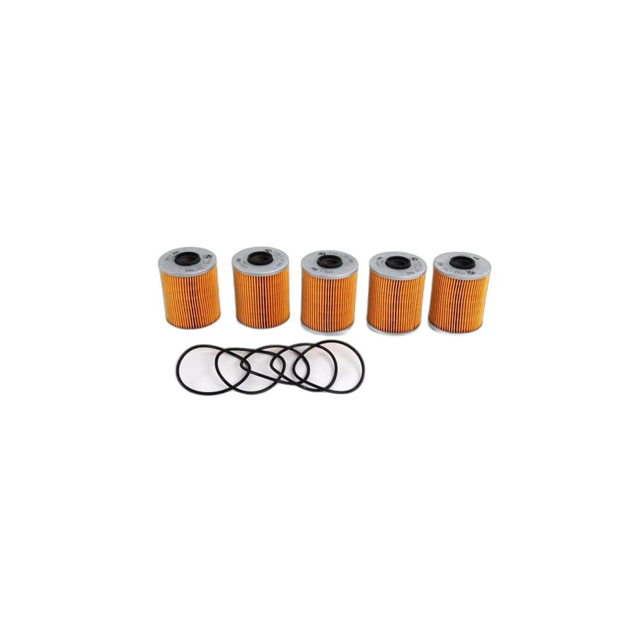 Genuine BMW 11421730389 E36 E34 Set Oil-Filter Element (Inc. 525i, 520i & 325is) | ML Performance UK Car Parts