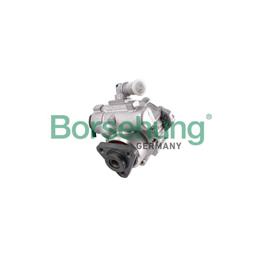 Borsehung B18226 Power Steering Pump For Audi A4