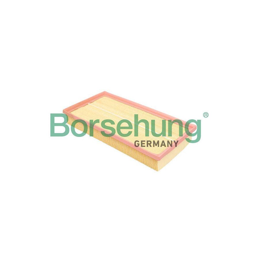 Borsehung B18293 Air Filter