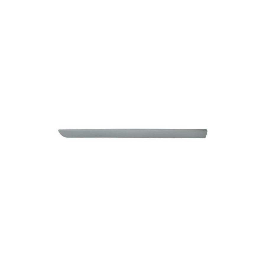 Blic 5703-04-6042575P Door Molding For Renault Megane