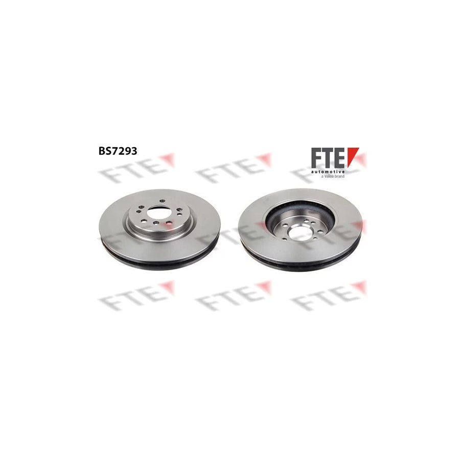 Fte 9071021 Brake Disc | ML Performance UK Car Parts