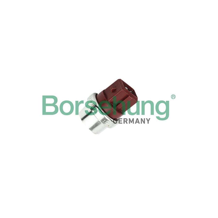 Borsehung B18289 Temperature Switch, Radiator Fan